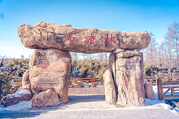 石塘林第 16 张图片