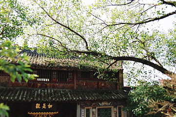 国恩寺第 21 张图片