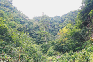 大峡谷景区第 17 张图片