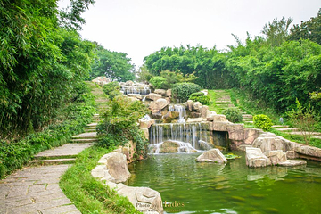 南湾湖风景区第 50 张图片