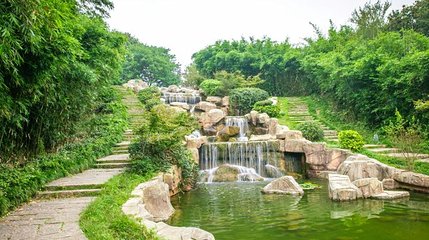 茶岛第 1 张图片
