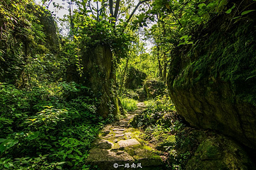 不二门国家森林公园第 9 张图片