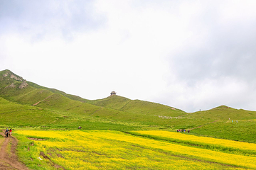 扁都口生态休闲旅游区第 74 张图片
