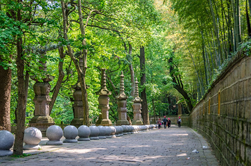 天童禅寺第 13 张图片
