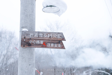 雪谷第 20 张图片