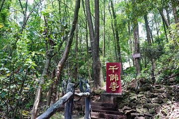 东风堰-千佛岩景区第 15 张图片