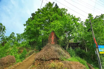 先秦古蜀道第 6 张图片