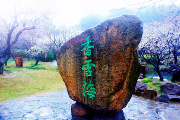 香雪海第 42 张图片