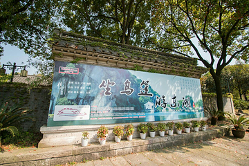 东湖第 36 张图片