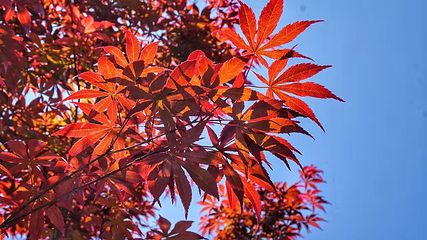 城市阳台第 20 张图片