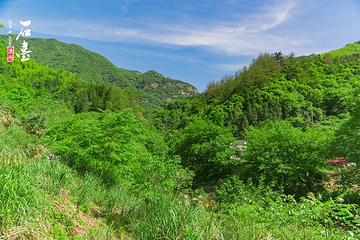 醉山野景区第 49 张图片