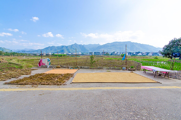 苍坡古村第 44 张图片