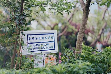 东望洋炮台及灯塔第 28 张图片