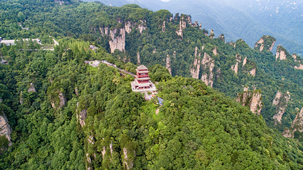 天子山风景区第 14 张图片