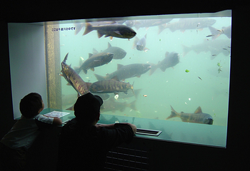 千岁水族馆第 23 张图片