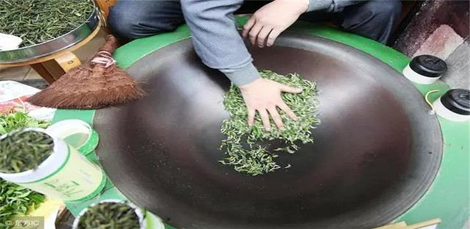 向阳山开国茶园