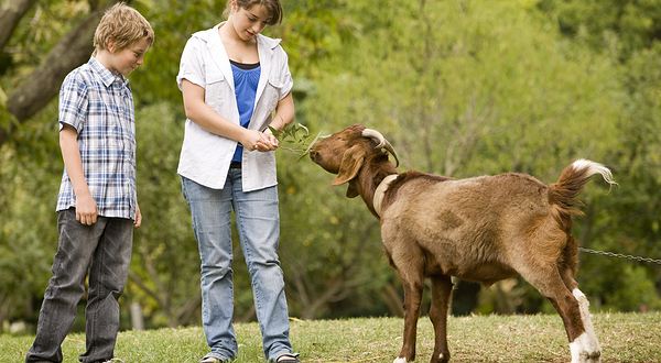 丘吉尔岛传统农场