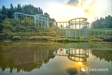 宜宾野生动物世界第 15 张图片