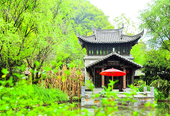 江湾景区第 26 张图片