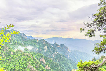 老界岭旅游度假区第 60 张图片