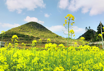 贵州龙里大草原景区第 23 张图片