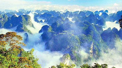 发现·弄岗景区第 1 张图片