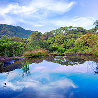 辛哈拉加森林保护区