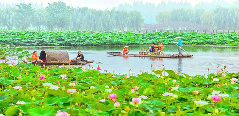 固城湖水慢城第 30 张图片