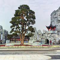 大明花海生态旅游区