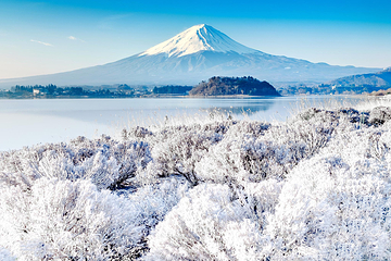 富士山第 5 张图片