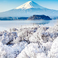 富士山