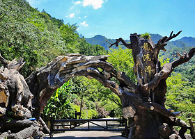 龙湾潭国家森林公园