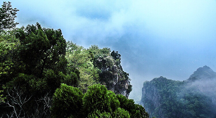 茱萸峰-凤凰岭第 16 张图片