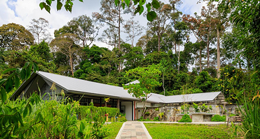 婆罗洲太阳熊保育中心