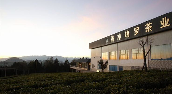 腾冲绮罗茶业