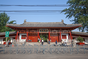 兴庆宫公园第 6 张图片