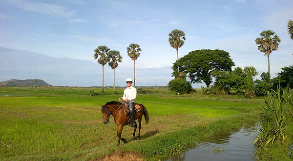 暹粒开心牧马场