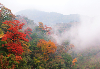 瑶里景区第 43 张图片