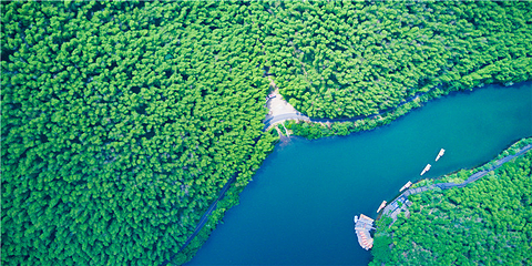 天目湖南山竹海第 101 张图片