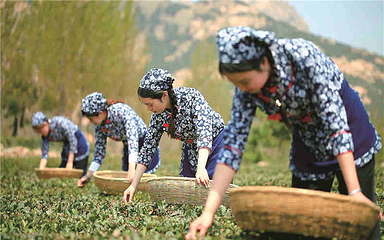 泉山云顶风景区第 52 张图片