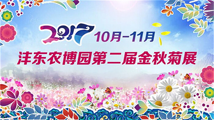 沣东农博园第 16 张图片