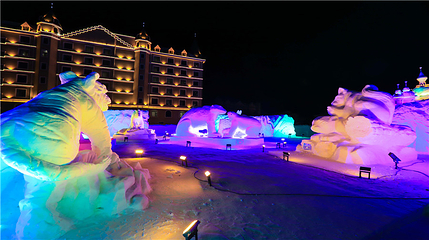 森林冰雪欢乐谷第 11 张图片
