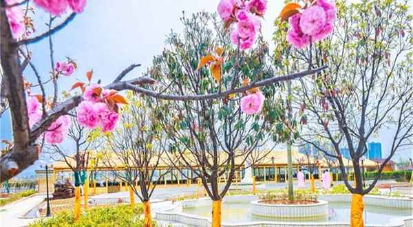 水世界(滨河北路店)