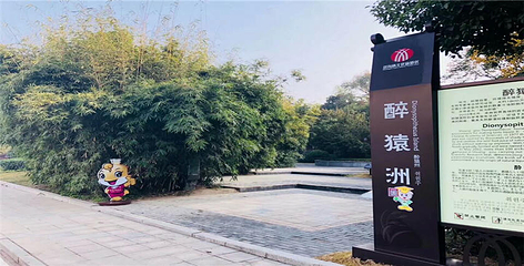 双沟酒文化旅游区第 34 张图片