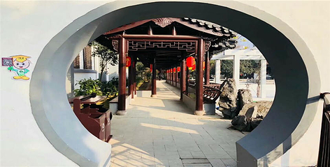 双沟酒文化旅游区第 15 张图片