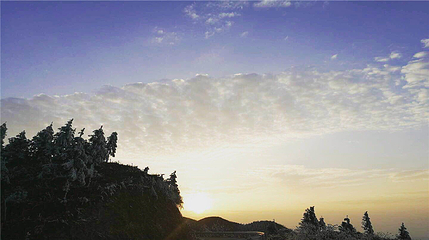 雷山丛林国际牡丹园第 21 张图片