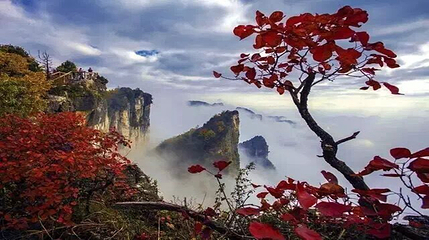 蝶舞清江·恩施野三峡综合旅游区第 56 张图片