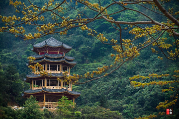 水锦顺庄景区第 7 张图片