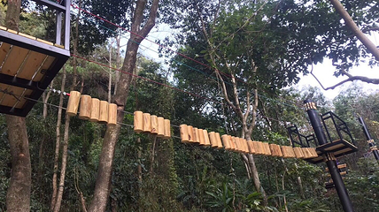 南丹山森林王国第 61 张图片