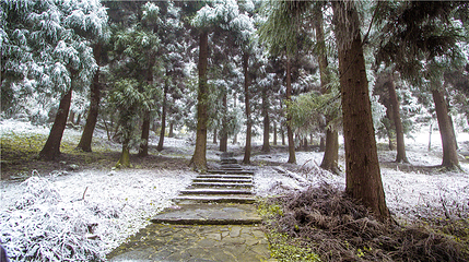 玉舍雪山滑雪场第 46 张图片